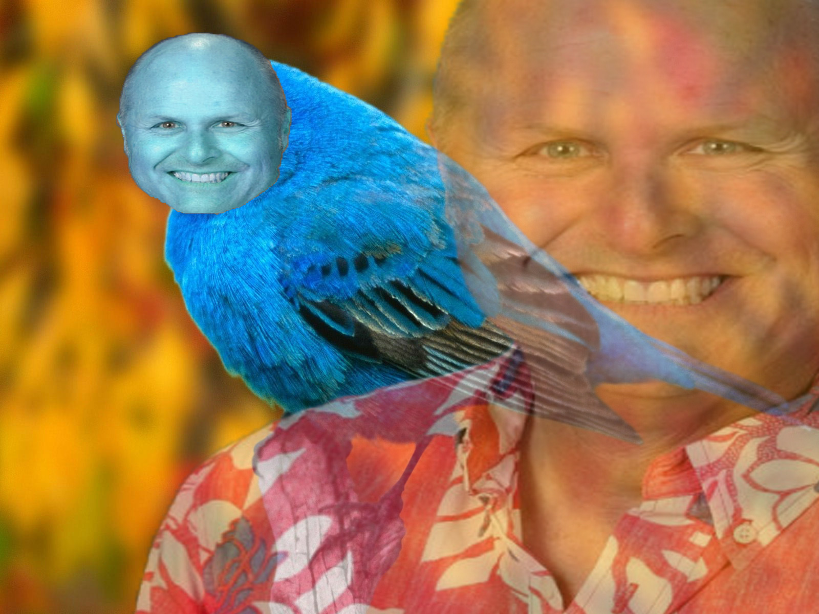 Flappy Birds Java Project (McKee Birds)